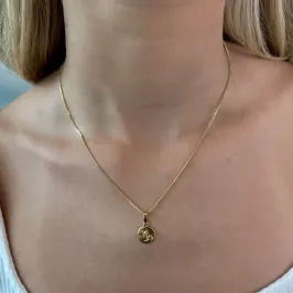 COLAR MEDALHA SIGNO CAPRICÓRNIO