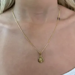COLAR MEDALHA SIGNO ESCORPIÃO