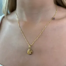 COLAR MEDALHA SIGNO PEIXES