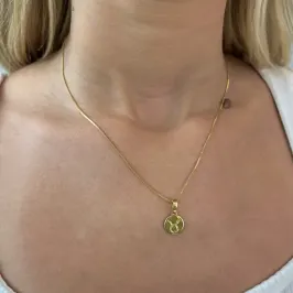 COLAR MEDALHA SIGNO TOURO
